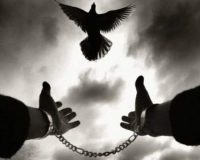 آزادی ۸ زندانی جرایم غیر عمد با کمک موقوفه